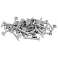 Orgill Bulk Nails Roofing Nail, 1-1/4 in L, 3D 69072